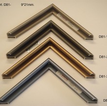 D81 D81