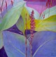 “Lapija IV”    2008, aliejus, drobė  40x40 cm